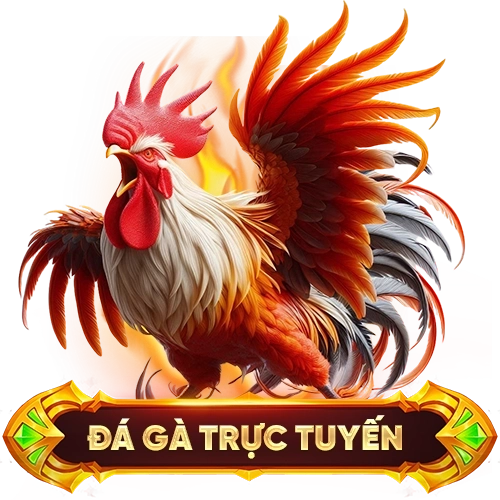 đá gà trực tuyến DAGA